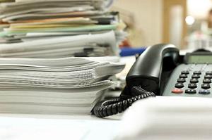 島根で効果的なコウモリ駆除と衛生対策：安心の害獣対策ガイド